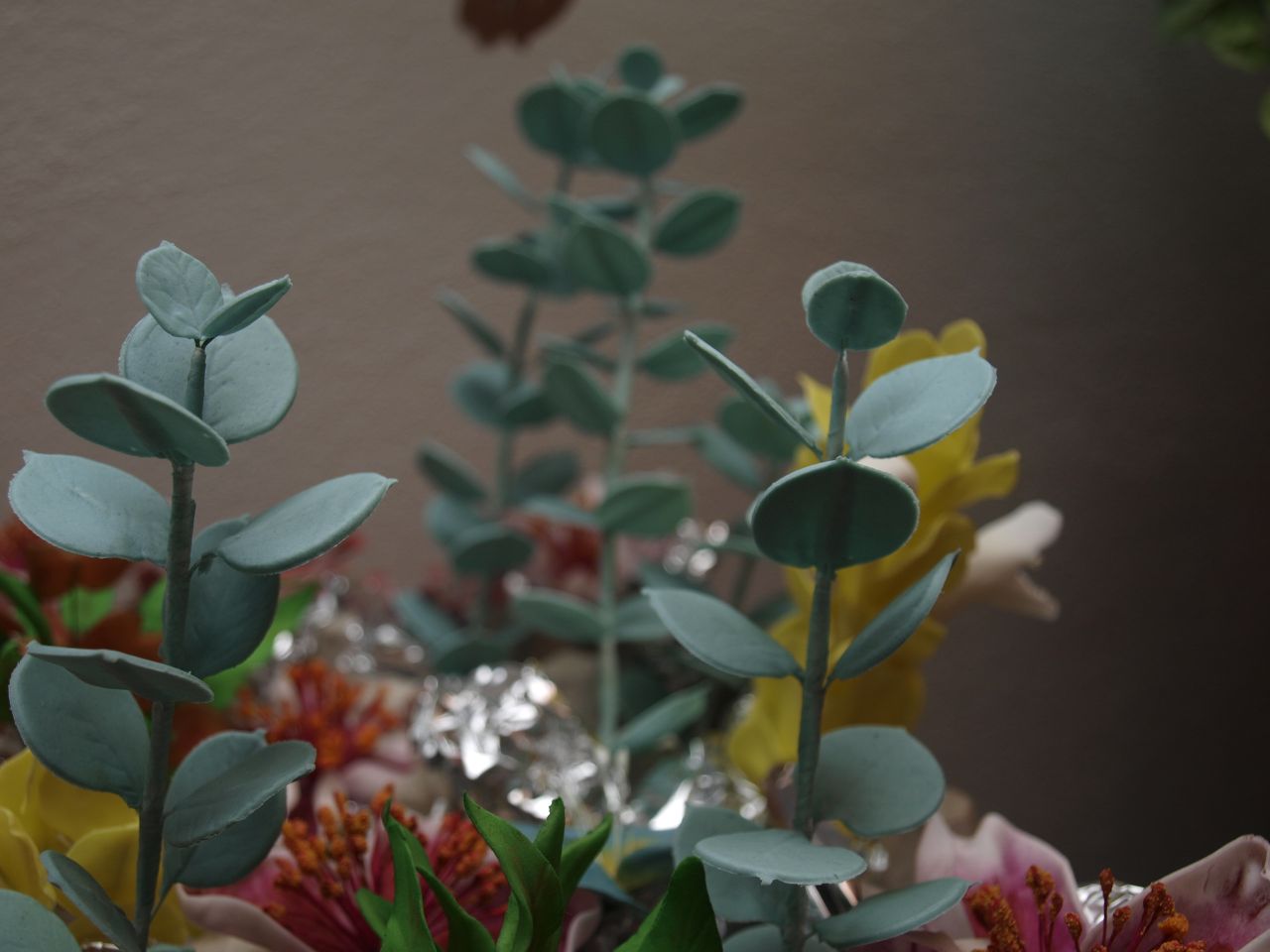"Eucalyptus" a "Pachystachys" v pozadí