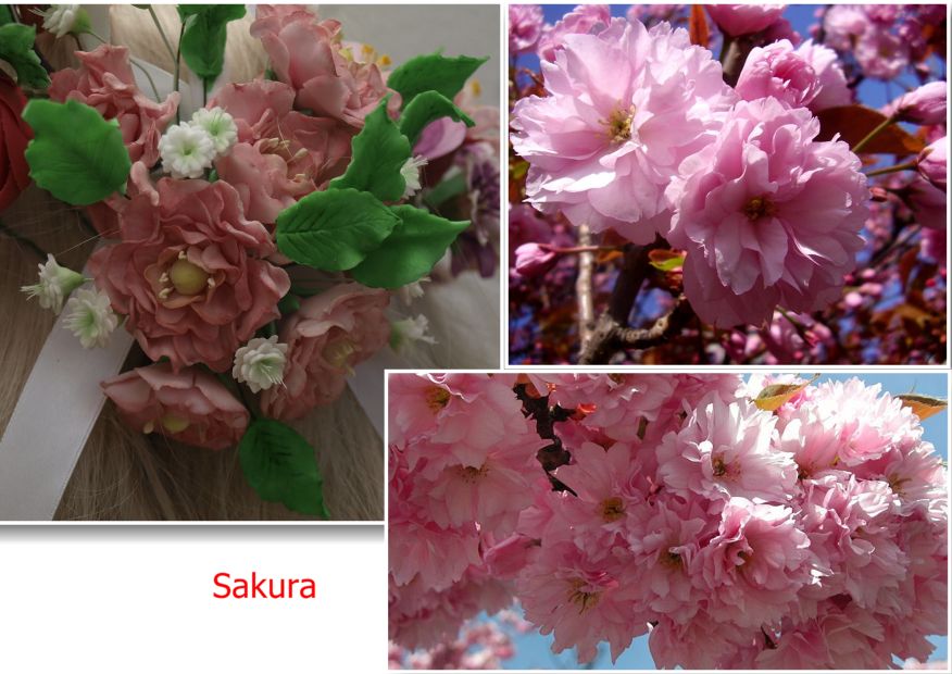 Sakura_