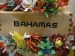 Bahamas v rozkvětu